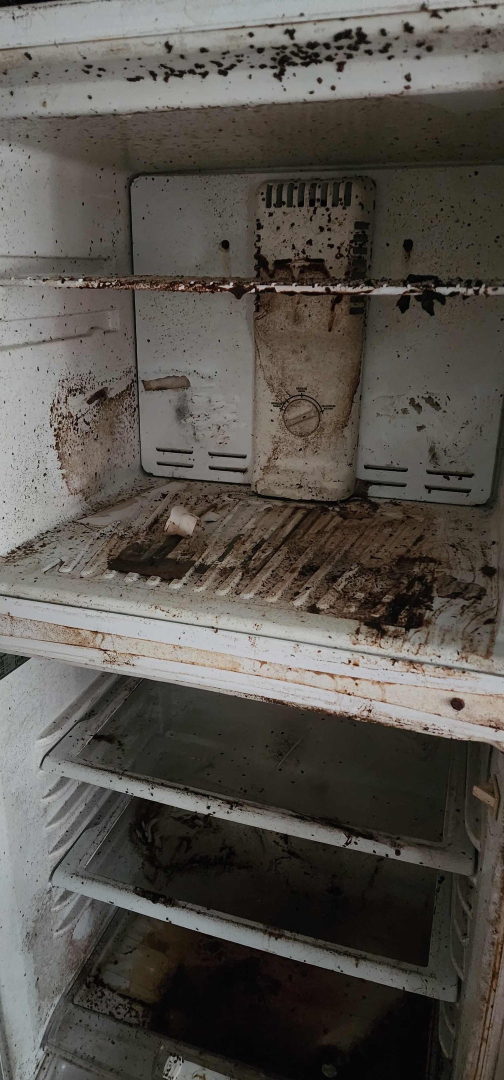 Detailed cleaning result by Zenquility Cleaning Services in Athens, GA
